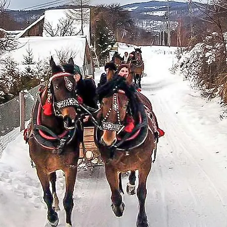 Wloczykija Jamna