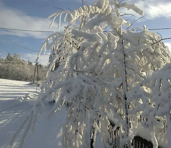 游逸者小屋旅馆 农家乐 Jamna